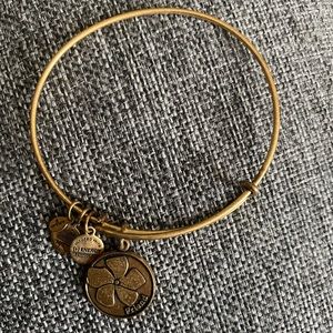 Alex and Ani Bracelet